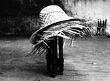 Cuộc sống quanh tôi