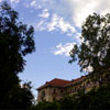 Đại học Y